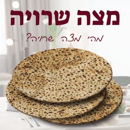 מצה שרויה
