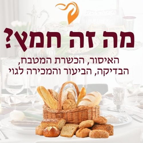 מה זה חמץ
