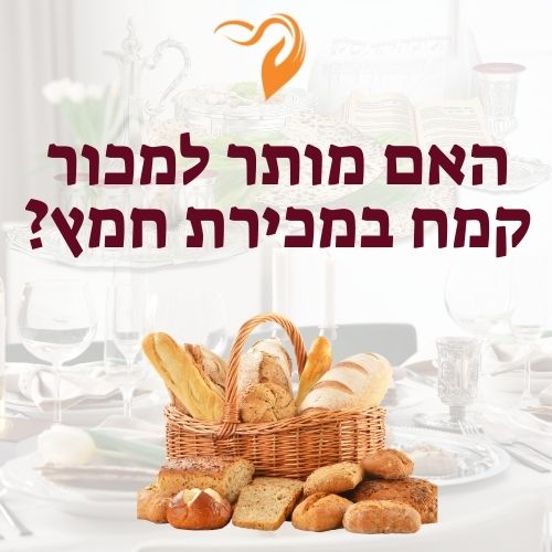 האם מותר למכור קמח במכירת חמץ