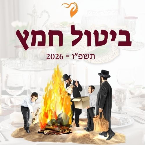 ביטול חמץ