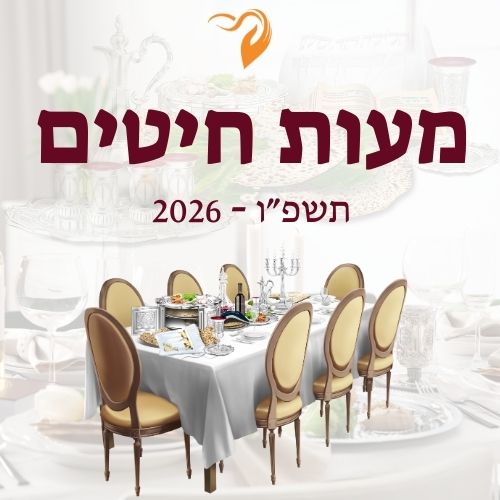 מעות חיטים